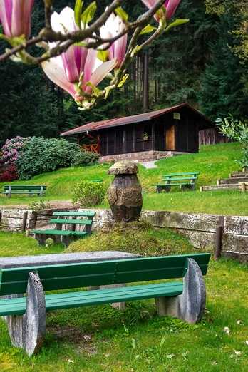 Forbach-Langenbrand-Rastplatz Talblick