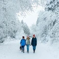 Winterwandern mit Hund in Hahnenklee