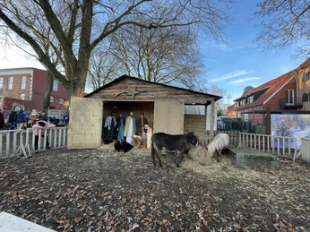 Wiehnachtsmarkt achter`d Waag Krippe Das Bild zeigt die Krippe mit Esel und Schafe am Wiehnachtsmarkt achter`d WaagThe picture shows the crib with donkey and sheep at the Wiehnachtsmarkt achter`d WaagBilledet viser barnesengen med æsel og får på Wiehnachtsmarkt achter`d WaagDe foto toont de stal met ezel en schapen op de Wiehnachtsmarkt achter`d Waag