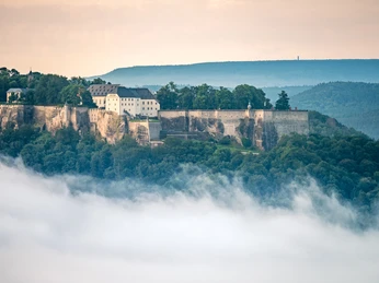 Blick auf die Festung Königstein
