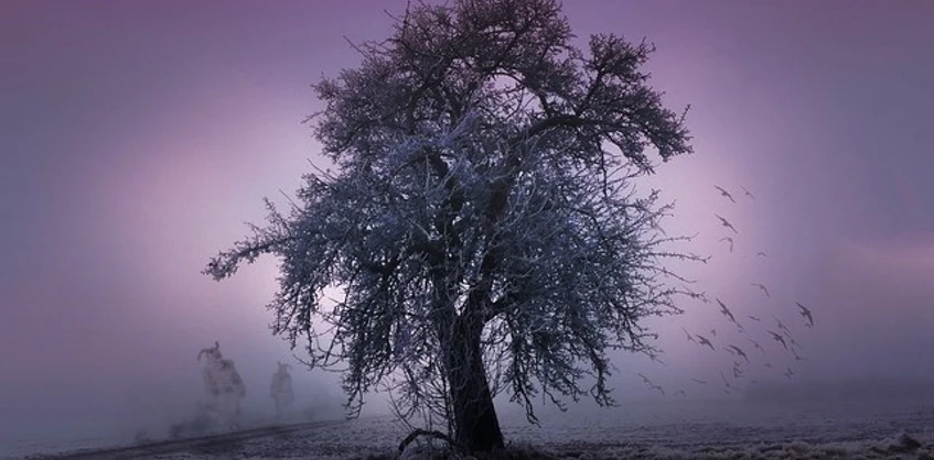 Wanderung in die Rauhnacht