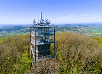 Soisberg3_.jpg