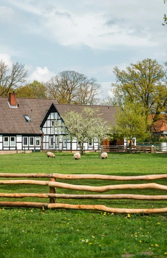 Fachwerkgebäude mit dunklem Dach, umgeben von grüner Wiese, Bäumen und Schafen hinter Holzzaun.