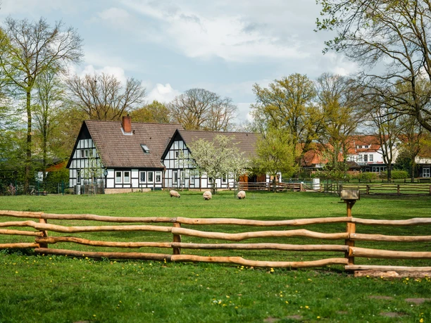Fachwerkgebäude mit dunklem Dach, umgeben von grüner Wiese, Bäumen und Schafen hinter Holzzaun.