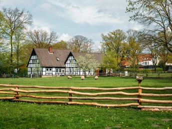 Museumshof Rahden Fachwerkgebäude mit dunklem Dach, umgeben von grüner Wiese, Bäumen und Schafen hinter Holzzaun.