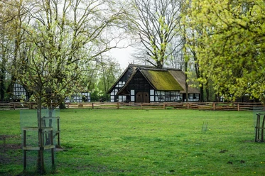 Museumshof Rahden: Fachwerkhäuser mit Reetdächern umgeben von blühenden Bäumen und einer grünen Wiese.