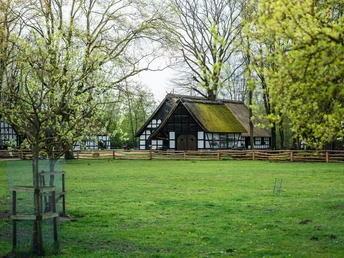 Museumshof Rahden Museumshof Rahden: Fachwerkhäuser mit Reetdächern umgeben von blühenden Bäumen und einer grünen Wiese.