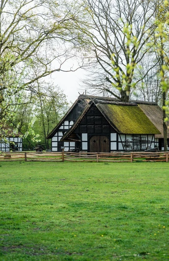 Museumshof Rahden Museumshof Rahden: Fachwerkhäuser mit Reetdächern umgeben von blühenden Bäumen und einer grünen Wiese.
