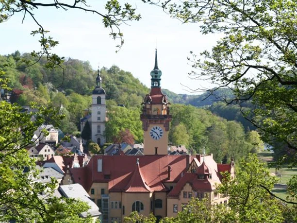 Blick vom Kreuzfelsen auf Waldheim