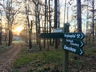 Georoute Bergbaupfad in den Hohburger Bergen
