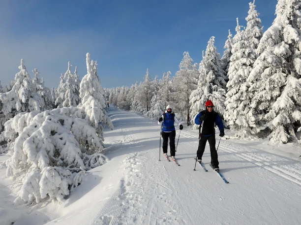 Skiläufer in der Loipe