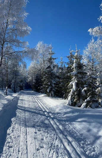 Loipe L2 - Richtung Schellerhau Winter