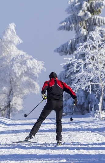 Skifahrer in der Loipe