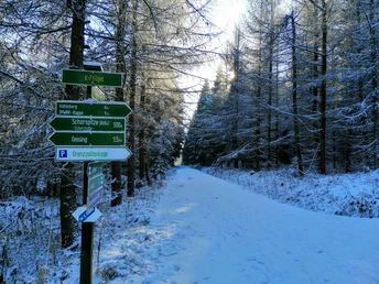 Winterwandern im Gebiet Scharspitze