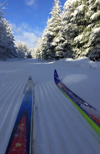Skifahren auf der Loipe Winter