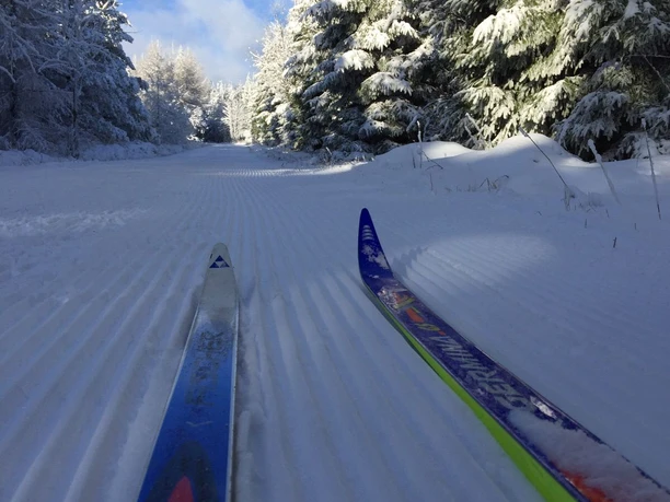 Skifahren auf der Loipe Winter