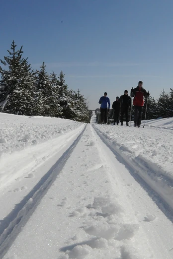Skifahrer in der Loipe