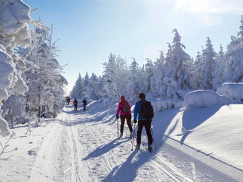 Winter in der Urlaubsregion Altenberg - Langlaufen