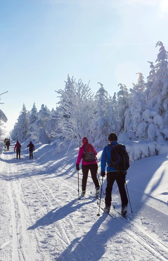 Winter in der Urlaubsregion Altenberg - Langlaufen
