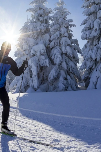 Langlaufen in der Loipe