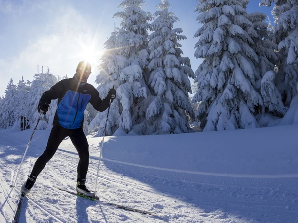 Langlaufen in der Loipe