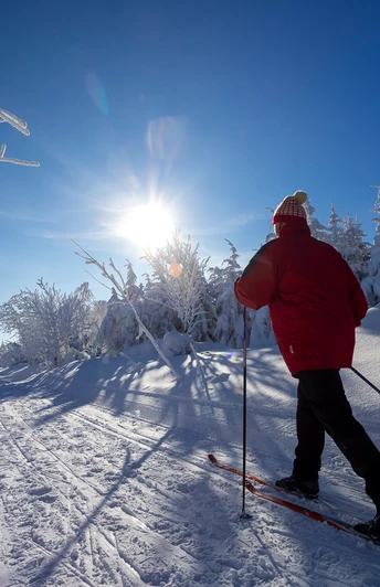 Skifahrer in der Loipe Winter im Erzgebirge