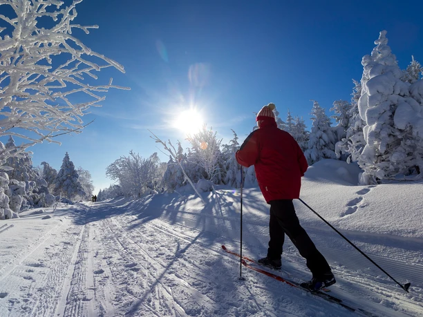 Skifahrer in der Loipe Winter im Erzgebirge