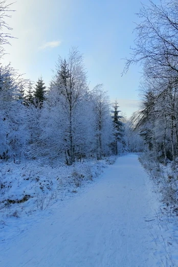 Winter in Zinnwald