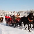 Schlittenfahrten