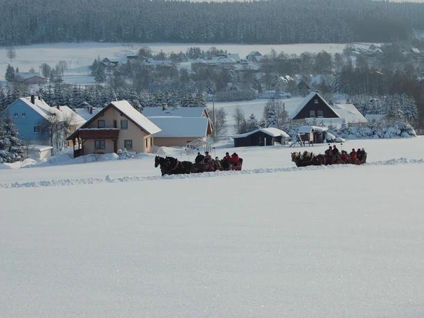 Schlittenfahrten durch das winterliche Vogtland