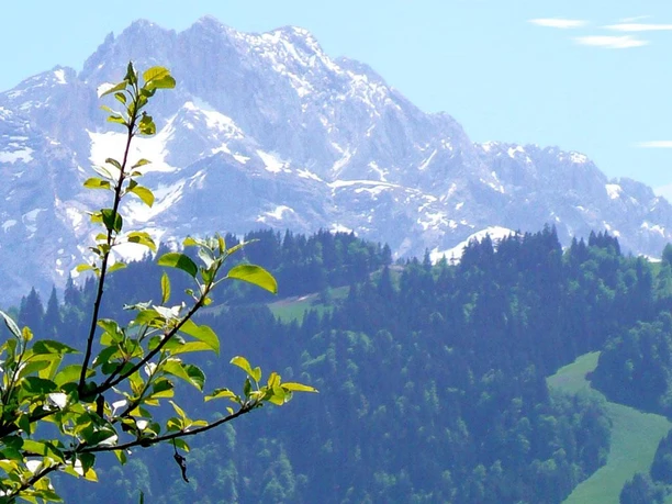 Aussicht vom Haus zur Dreitorspitze