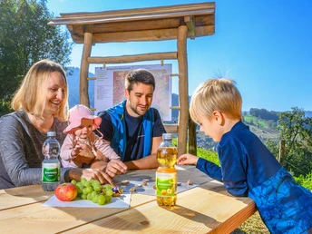 Rast am Bergbaupfad an einer Sitzgruppe mit Spiel in der Tischplatte und vor einer Infotafel und Blick auf Seebach