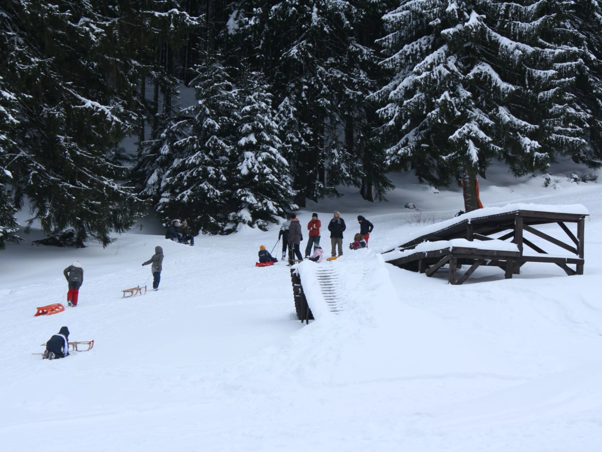 Rodeln am Ski-Alpinum Schulenberg