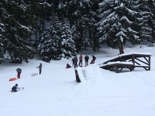 Rodeln am Ski-Alpinum Schulenberg