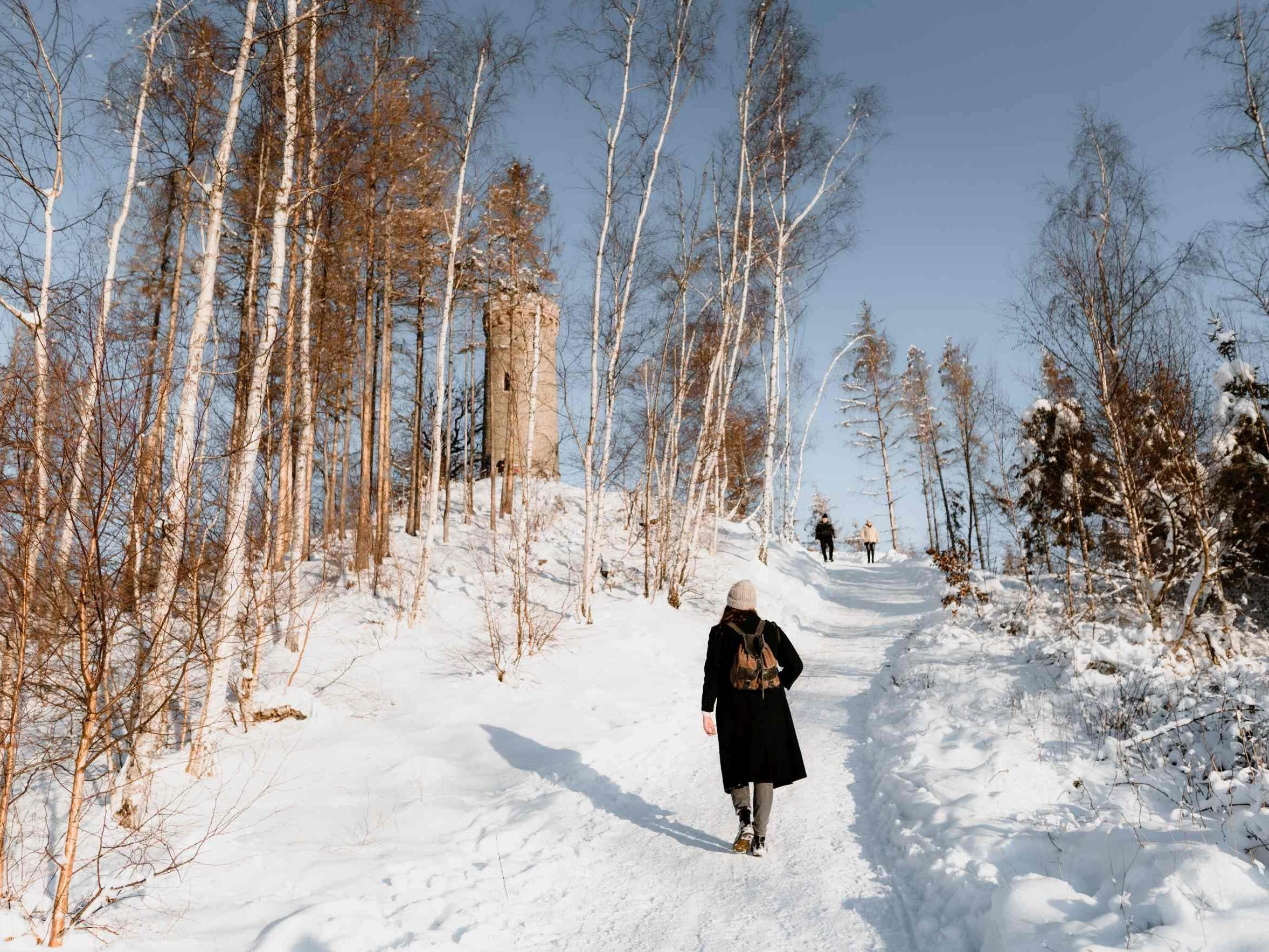 Winter am Kaiserturm in Wernigerode Winter am Kaiserturm in Wernigerode