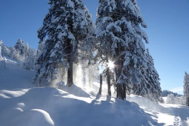 Schneeschuhtour Biberegg - Mostelberg