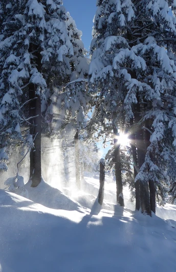 Schneeschuhtour Biberegg - Mostelberg