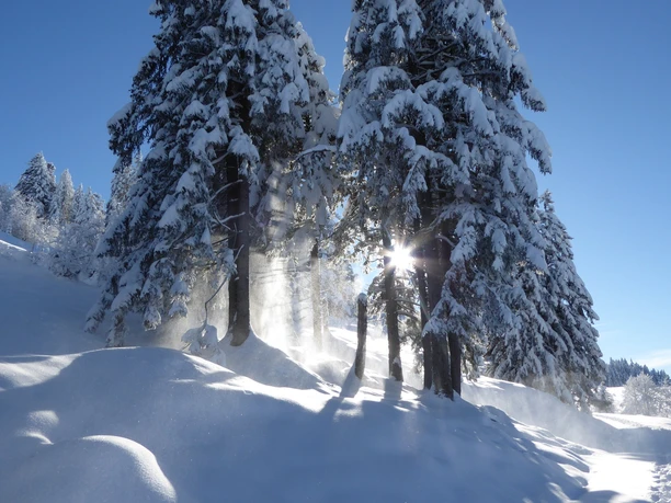 Schneeschuhtour Biberegg - Mostelberg