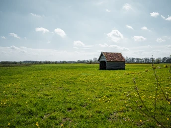 Eine weitläufige grüne Wiesenlandschaft mit einem kleinen Holzhäuschen unter bewölktem Himmel.