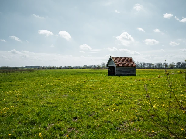 Eine weitläufige grüne Wiesenlandschaft mit einem kleinen Holzhäuschen unter bewölktem Himmel.