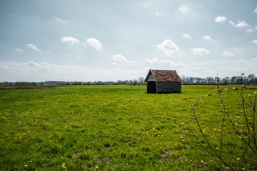 Oppenweher Moor Eine weitläufige grüne Wiesenlandschaft mit einem kleinen Holzhäuschen unter bewölktem Himmel.