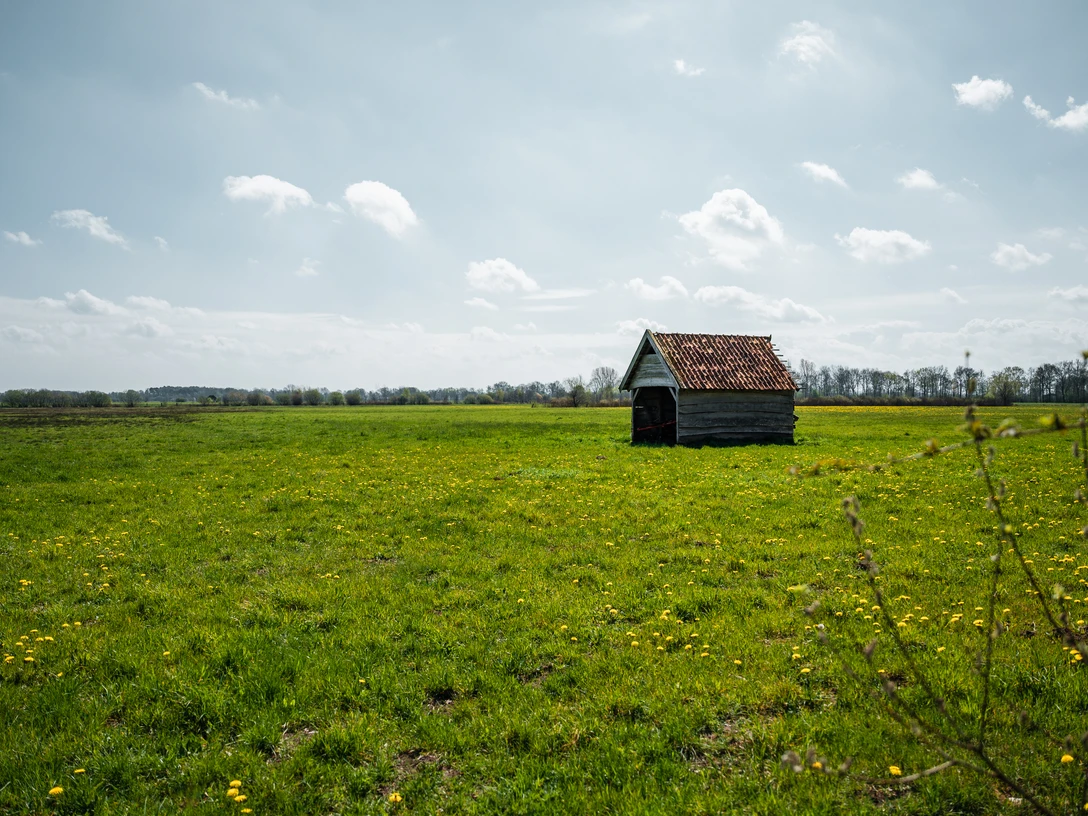 Oppenweher Moor Eine weitläufige grüne Wiesenlandschaft mit einem kleinen Holzhäuschen unter bewölktem Himmel.