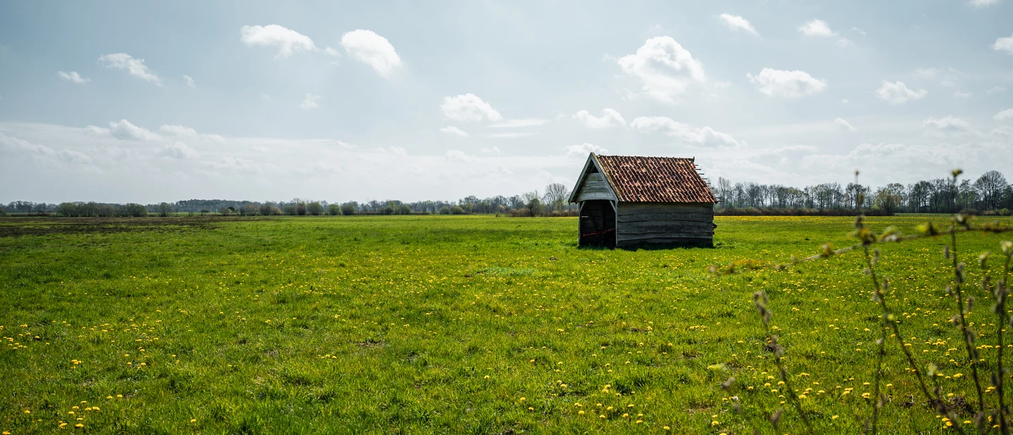 Oppenweher Moor Eine weitläufige grüne Wiesenlandschaft mit einem kleinen Holzhäuschen unter bewölktem Himmel.