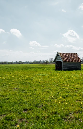 Oppenweher Moor Eine weitläufige grüne Wiesenlandschaft mit einem kleinen Holzhäuschen unter bewölktem Himmel.