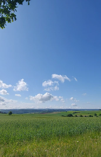 Vermscher Wanderweg - Ausblick