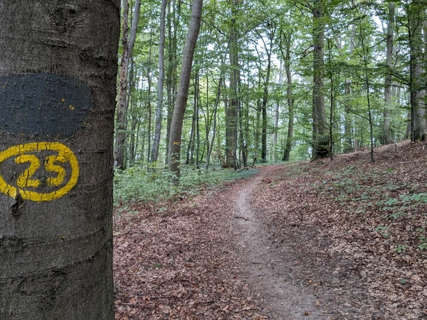 Firnskuppe