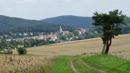 Blick auf Naumburg
