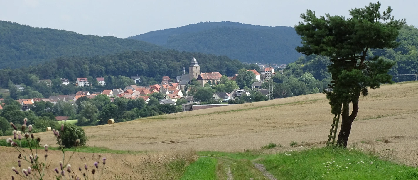 Blick auf Naumburg