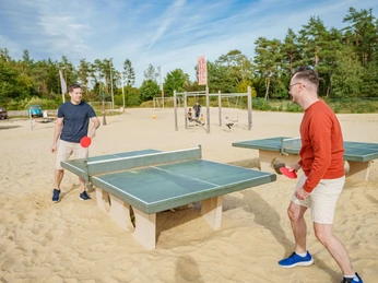 Die Außenanlage des Holiday Camps Die Außenanlage des Holiday CampsThe outdoor area of the Holiday CampFeriecampens udendørs områdeDe buitenruimte van het Holiday Camp