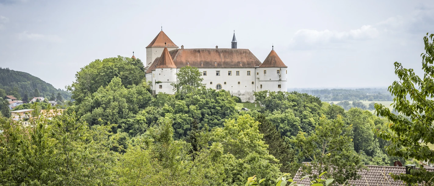 Schloss Wörth an der Donau Schloss Wörth thront auf einem bewaldeten Hügel mit den Ausläufern des Vorderen Bayerischen Wald im Hintergrund zu sehen.